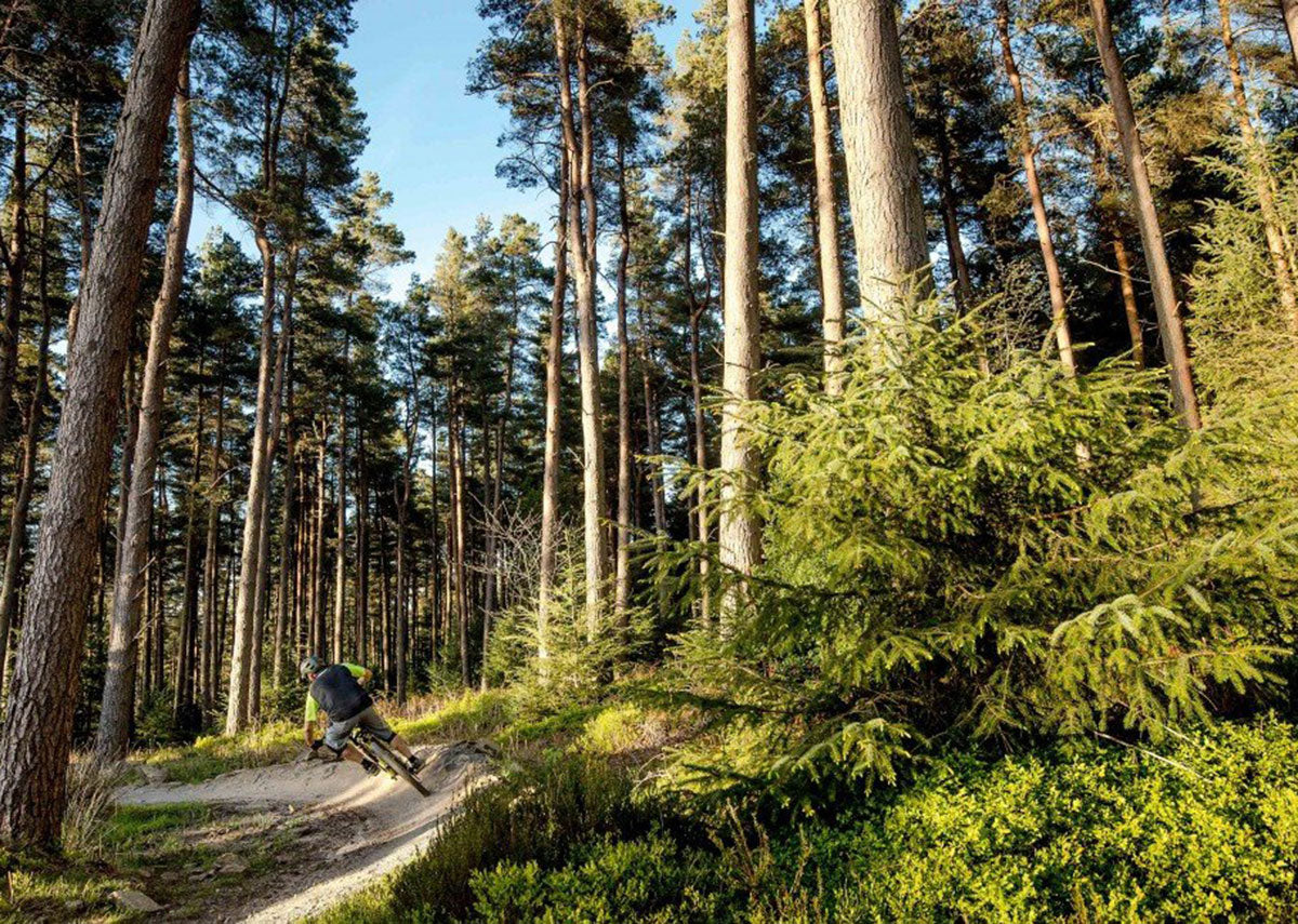 booicore Guide to Mountain Biking