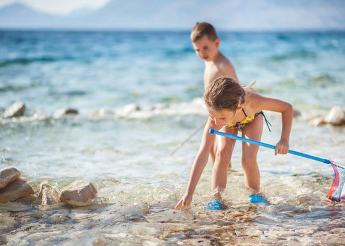 Great Beach Activities for the Family This Summer