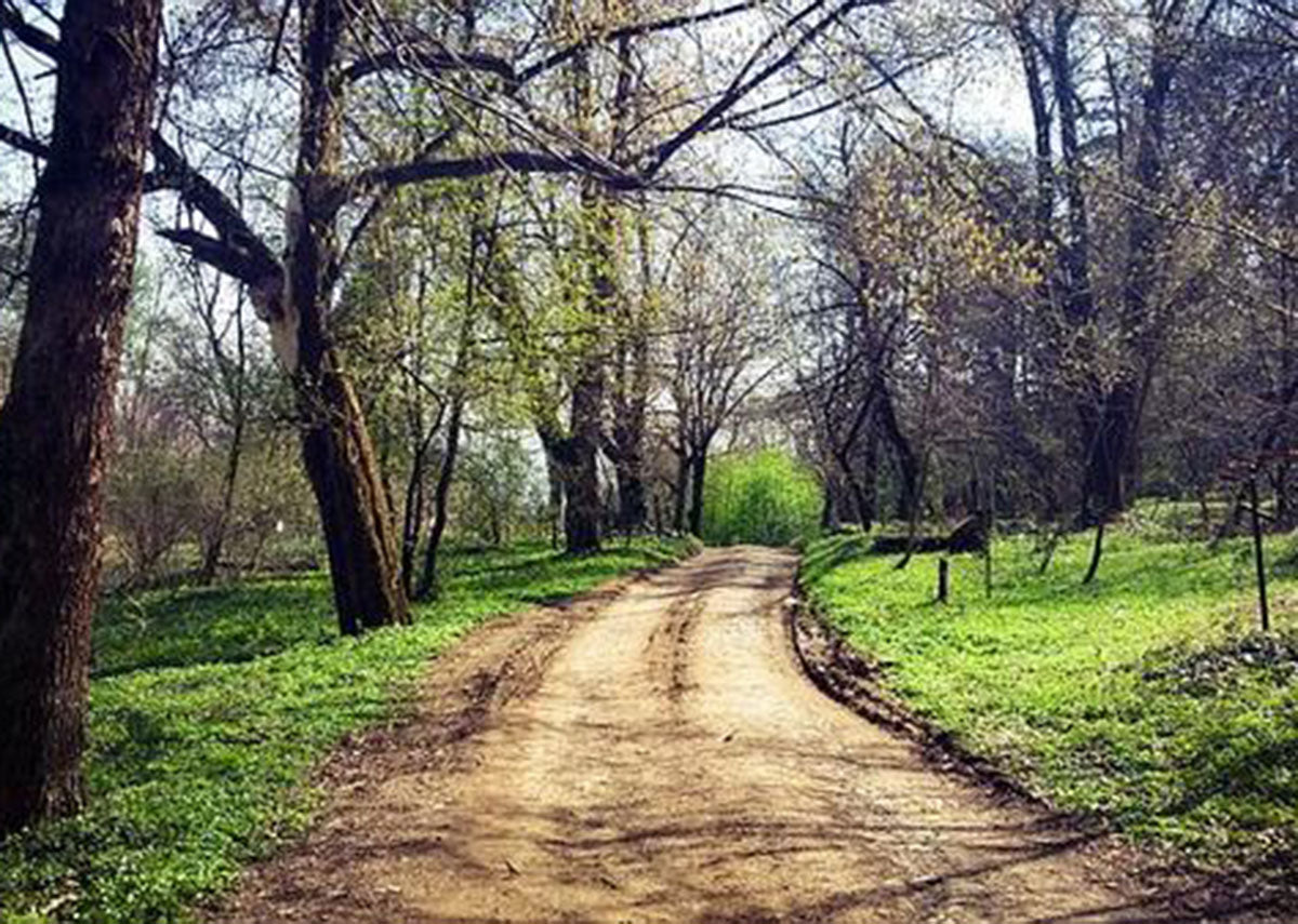 Improve your mental health through being outdoors