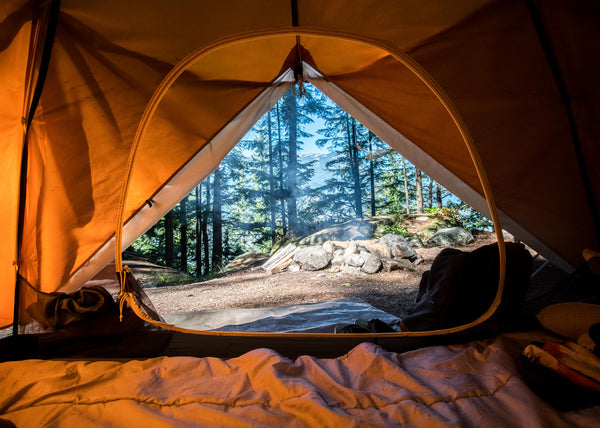 Can we go camping in summer 2021?